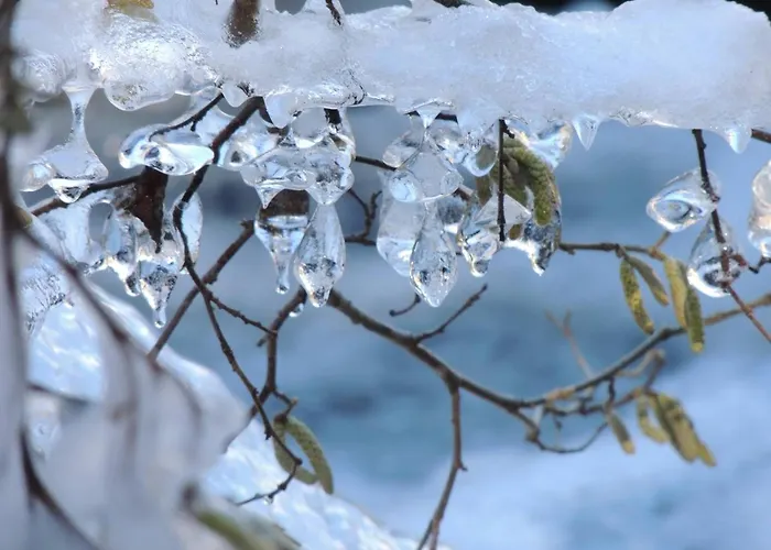 T2 40 M² Pour 4 Pers, Proche Centre - Fr-1-234-345 Cauterets