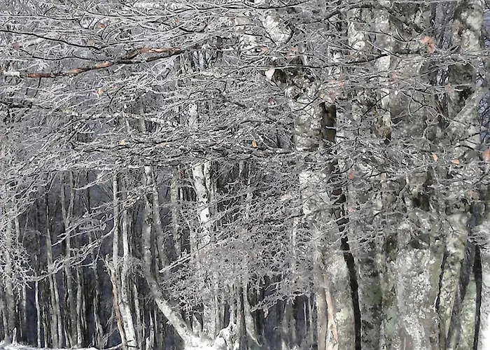 T2 40 M² Pour 4 Pers, Proche Centre - Fr-1-234-345 Cauterets